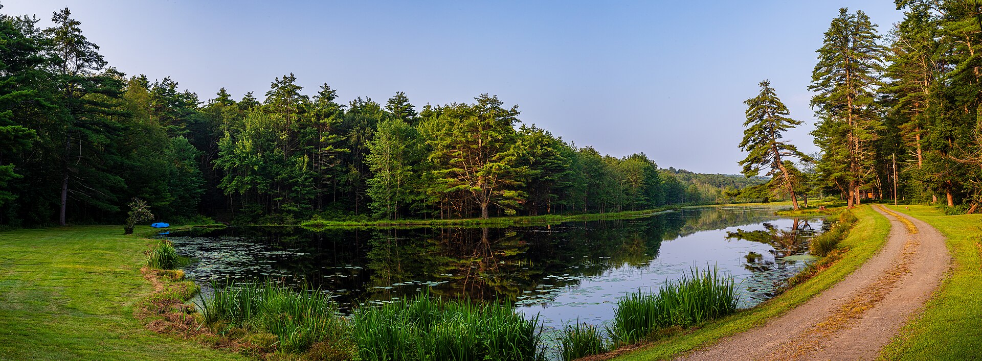 Forest reflected in Wyler Lake, Pennsylvania. Regional scenery, not a listed parcel.
